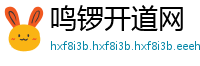鸣锣开道网